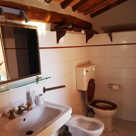 Old Pelleria Apartment Lucca